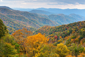 Great Smoky Mountains National Park, Tennessee, USA at the Newfound Pass