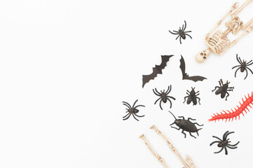 Halloween decorations on white background with space for text. Flat lay, top