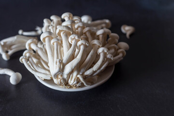 mushroom on a white background