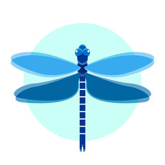 Vector isolated blue dragonfly. Flat graphics. 