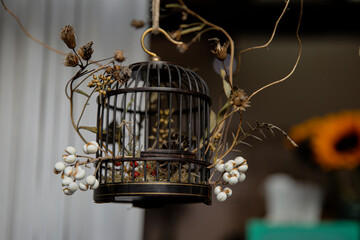 Fototapeta na wymiar Birdcage decoration