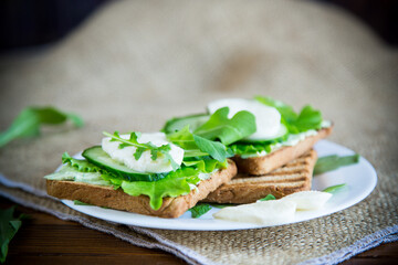 fried bread toasts with salad leaves, cheese spread and mozzarella in a plate