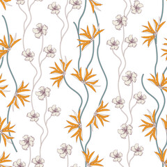 Tropical orange flowers on a white background. Vector seamless pattern, Asian garden with exotic flowers.