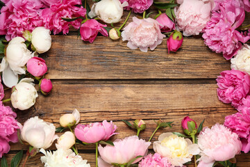Frame made of beautiful peonies on wooden background, flat lay. Space for text