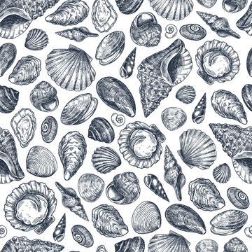 Seashell vintage seamless pattern. Engraved style set. Various shell forms. Vector illustration
