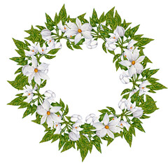 Hand painted watercolor orange blossom and fruits compositions, perfect to use on the web or in print