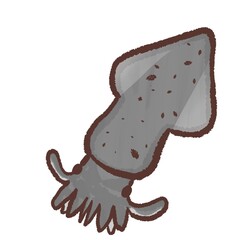 R:メルヘンな水族館 ヤリイカ１