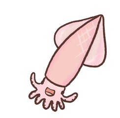 R:もっとメルヘンな水族館 ヤリイカ １