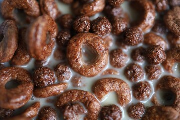 cookies with seeds chocolate breakfast food with milk