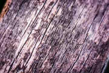 old wooden texture can be used like background