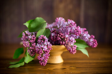 bouquet of beautiful blooming lilacs in a vase