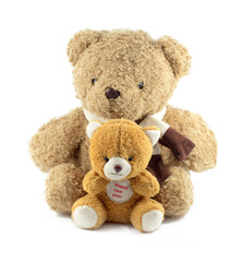 toy teddy isolated on white background