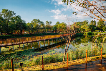 Walkway with pond and green forest at Baramsae Village Picnic Garden in Pyeongtaek, Korea