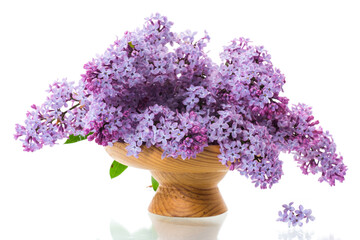 bouquet of beautiful spring flowers of lilac on white background