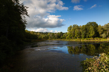 Pond in forest and clouds