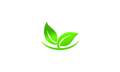 green leaf symbol