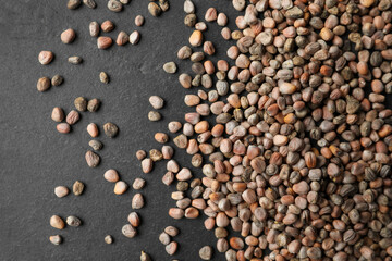 Raw radish seeds on grey background, flat lay. Vegetable planting