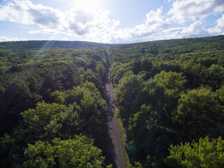 Fototapeta premium Aerial view of road through forest