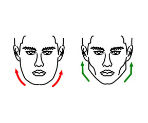 face, cheekbones, face correction, head, silhouette, maxilla, sketch, angles of the lower jaw, maxillofacial surgery, improve, facial procedures, zygomatic bone, lower jaw, zygomatic bone, man, human,