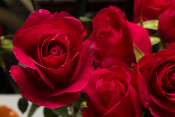 red roses and white card with a place for a congratulatory text on a black background