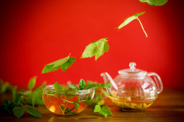 summer refreshing organic tea from currant leaves in a glass teapot