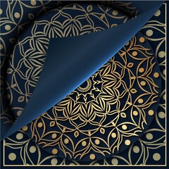 luxury mandala background for the invitation cover,paper fold shape
