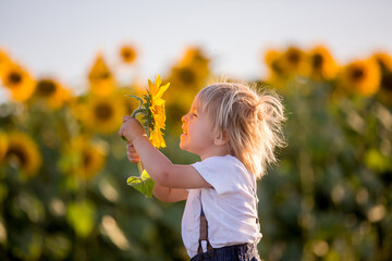 Little toddler boy, child in sunflower field, playing with big flower