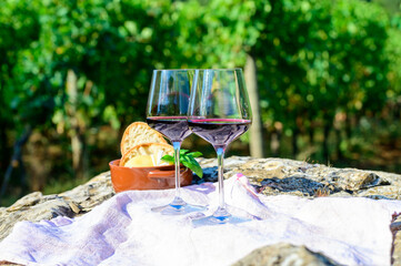 Summer picnic or outdoor tasting of red wine on vineyards in Lazio, Italy
