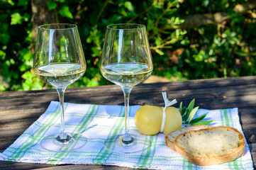 Summer picnic or wine tasting of white wine on vineyards in Lazio, Italy