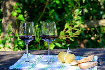 Summer picnic or outdoor tasting of red wine on vineyards in Lazio, Italy