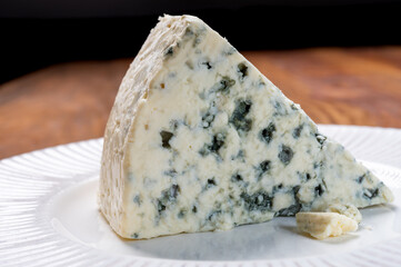 Cheese collection, piece of danish blue cheese with blue mold