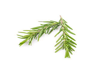 Fototapeta premium Fresh green sprigs of rosemary isolated on a white background