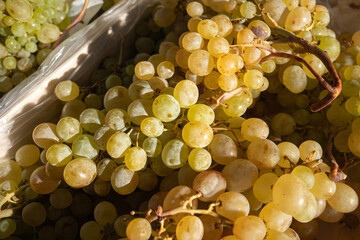 Fresh white grapes background. Top view