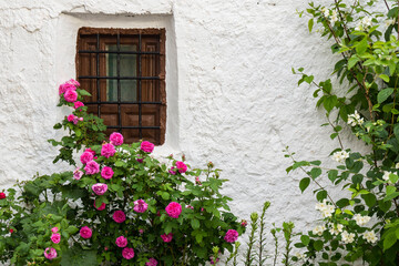 Fototapeta na wymiar Casas de Carrasco, parque natural sierras de Cazorla, Segura y Las Villas, Jaen, Andalucia, Spain
