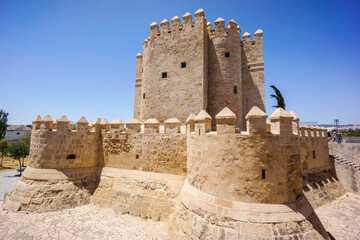 Fototapeta na wymiar torre de Calahorra, Cordoba, Andalucia, Spain