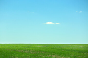 Obraz na płótnie Canvas Beautiful landscape with green grass on sunny day