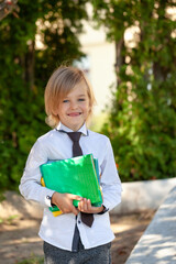 Cute blonde boy holding books go to school. Smiling Pupil go study to elementary school. Back to school