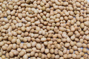 Group of cereals, healthy food, rich vitamin b, fibre, rich carbohydrates and protein, use grain everyday can help lose weight, reduce calories, prevent cancer and antioxidant, this food very cheap