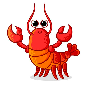 Cute red lobster with claws on a white background. Vector illustration with a sea animal in a cartoon style.