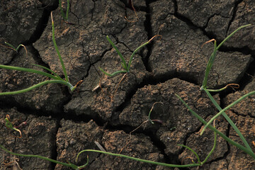 soil with crack stock photo