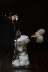 the cotton flowers in a vase over the black background. vertical photo in a low-key lightning.