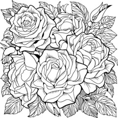 Coloring page with roses