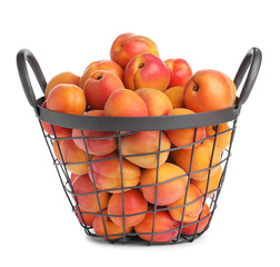 Delicious ripe apricots in metal basket isolated on white