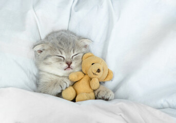 Cute kitten sleeps under blanket on a bed at home and hugs favorite toy bear. Top down view
