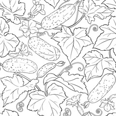 cucumber vector pattern