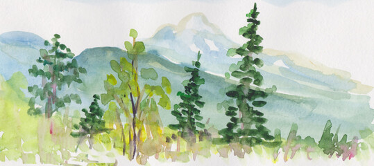 spruces in front of Cordillera