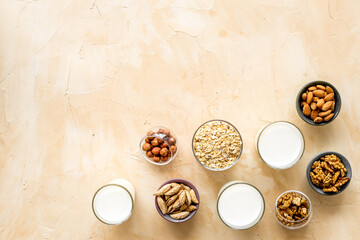 Dairy free milk protein nuts drink. Top view, copy space