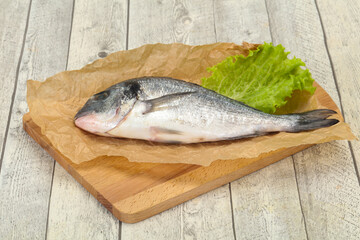 Raw Dorada fish  for cooking