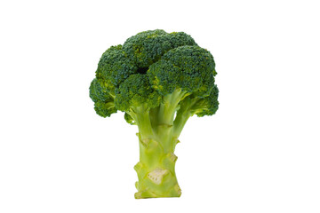 Fresh tasty broccoli isolated on white background.