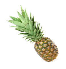 Fototapeta premium Fresh ripe juicy pineapple isolated on white